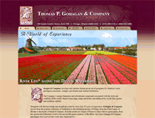 Tablet Screenshot of gohagantravel.com